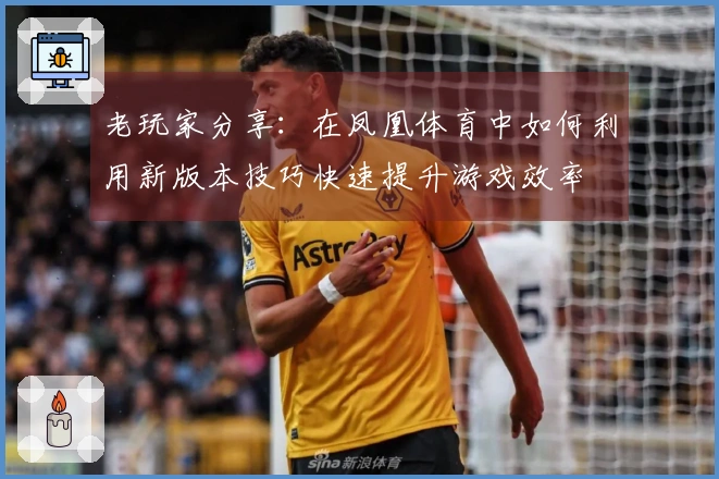 老玩家分享：在凤凰体育中如何利用新版本技巧快速提升游戏效率