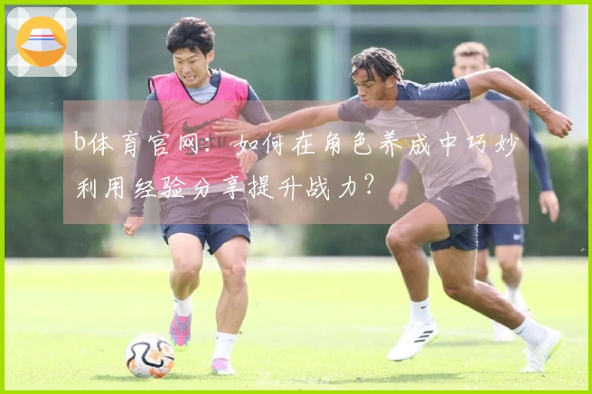 b体育官网：如何在角色养成中巧妙利用经验分享提升战力？