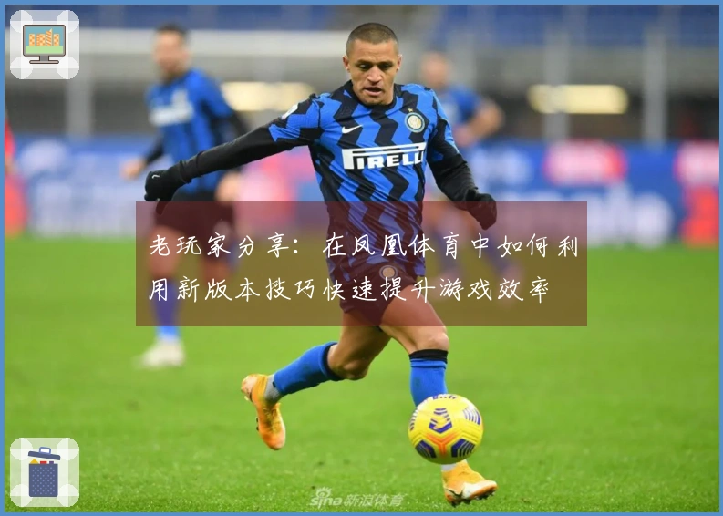 老玩家分享：在凤凰体育中如何利用新版本技巧快速提升游戏效率