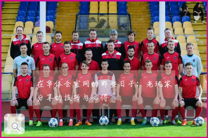 在华体会官网的那些日子：老玩家分享的技巧与心得